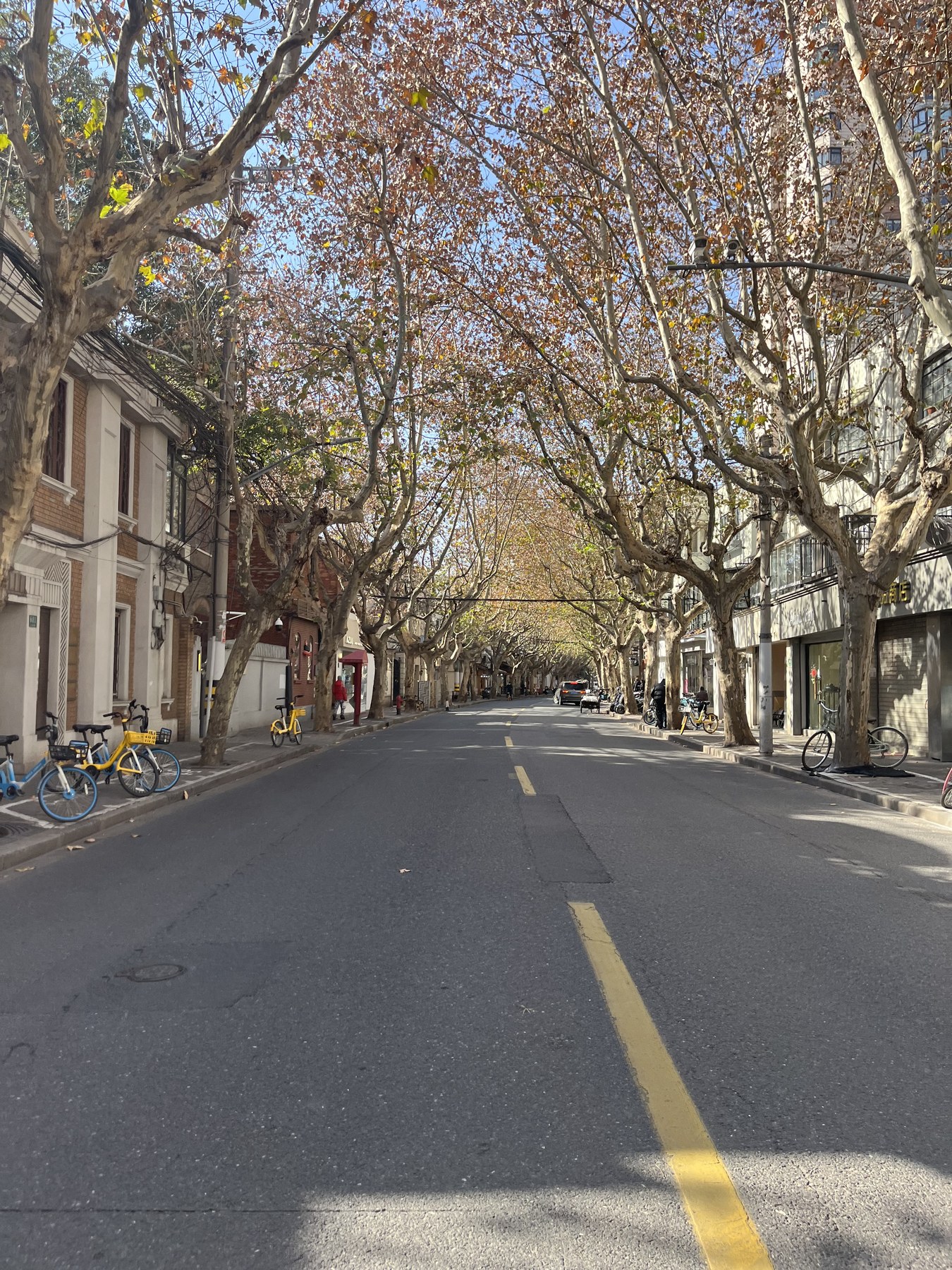 上海安福路