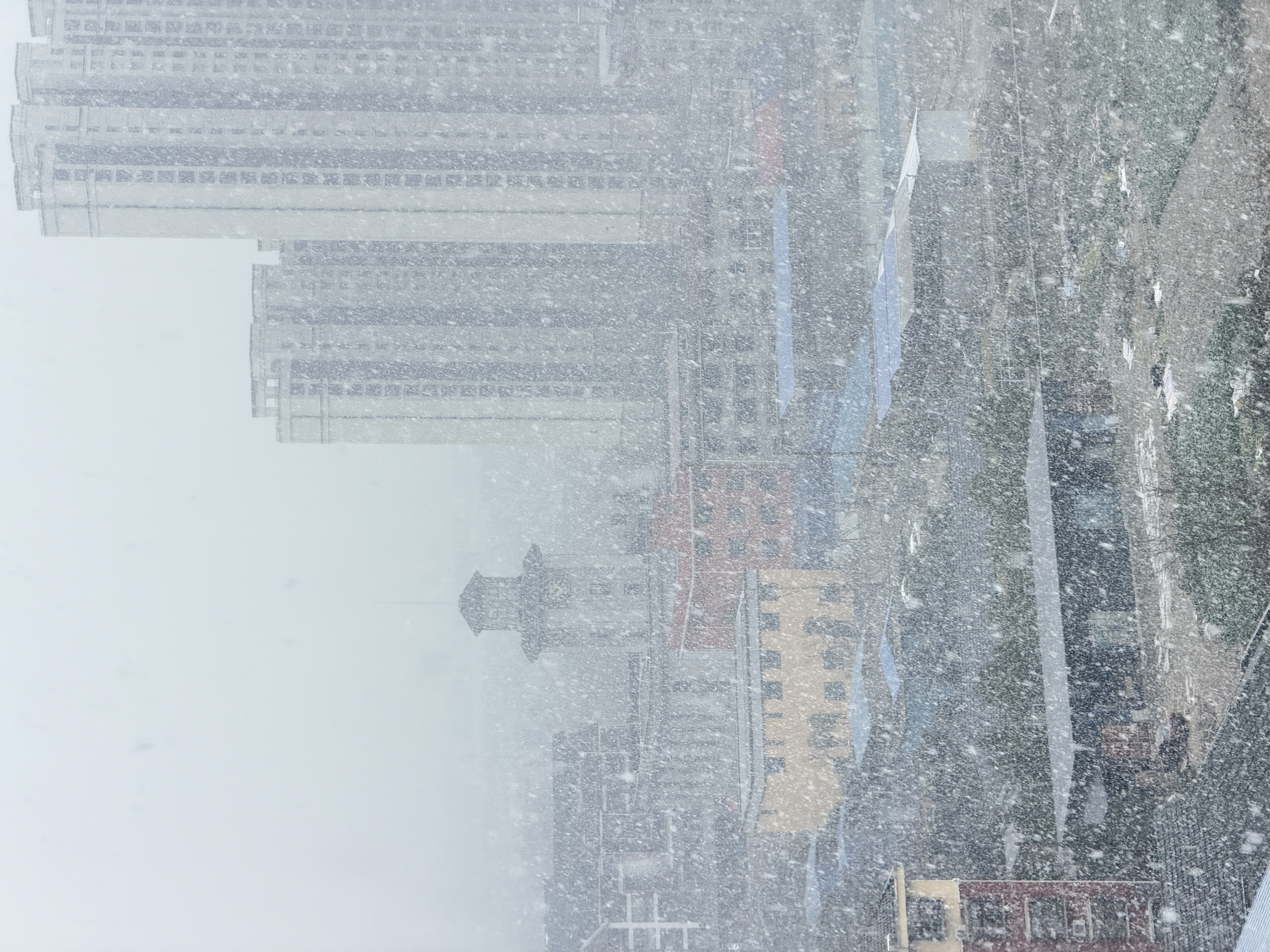 下雪@洪湖