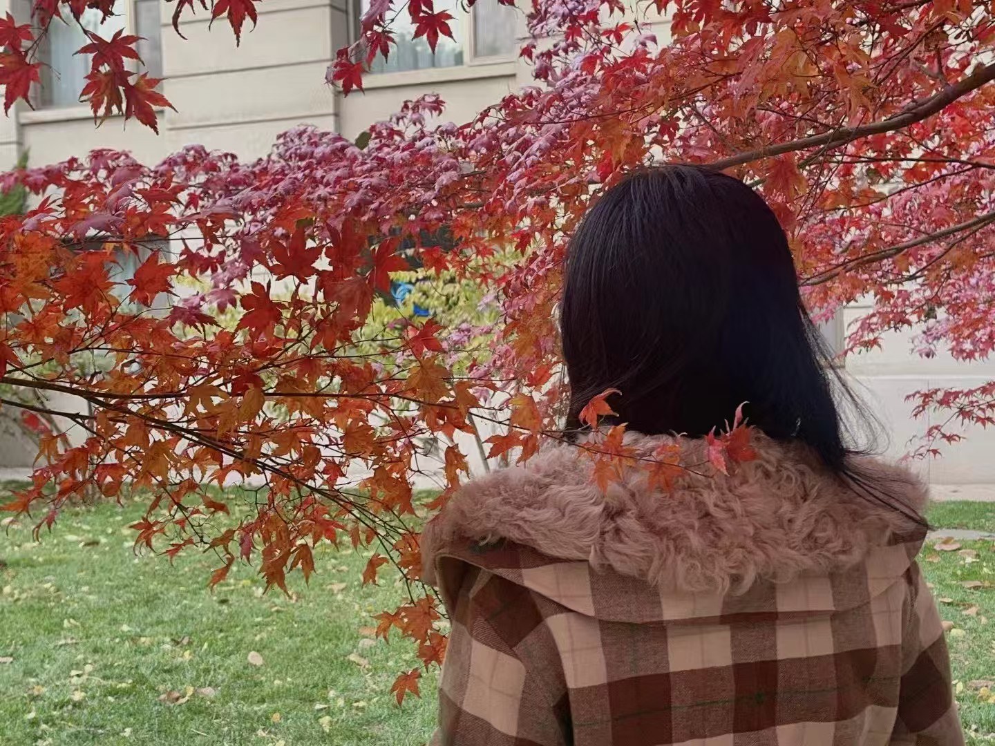 中央财经大学
