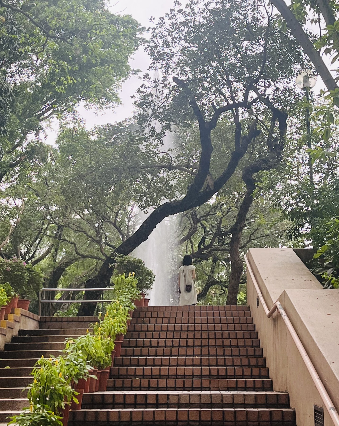 香港九龙公园游泳池